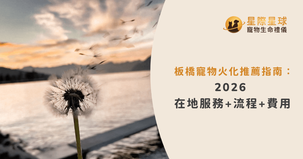 板橋寵物火化推薦指南：2026 在地服務 + 流程 + 費用
