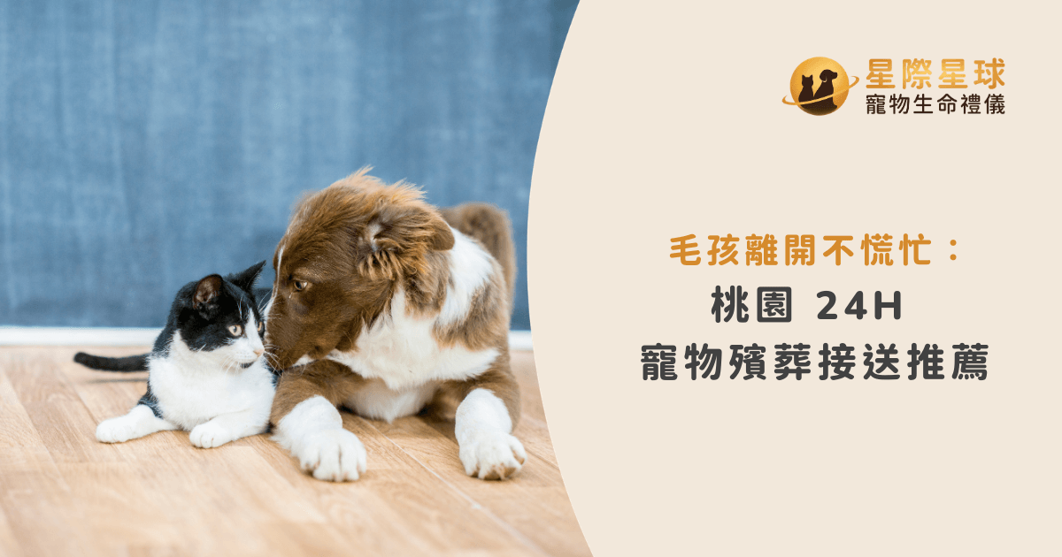 毛孩離開不慌忙：桃園 24H 寵物殯葬接送推薦