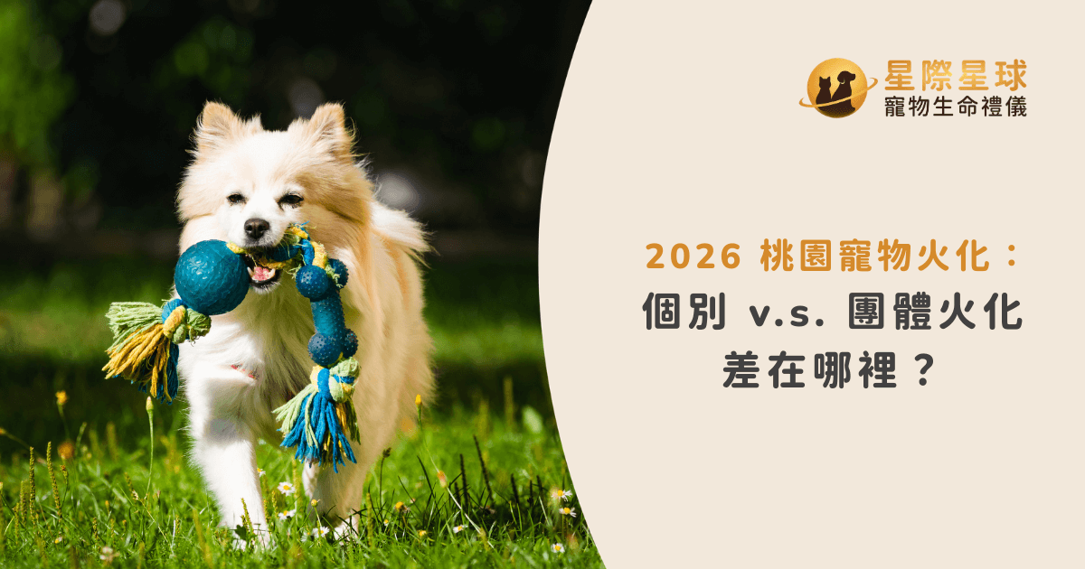 2026 桃園寵物火化：個別 v.s. 團體火化差在哪裡？