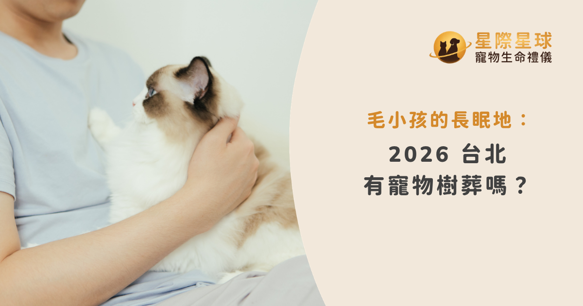 台北 2026 寵物樹葬服務指南