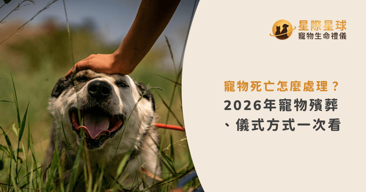 寵物死亡怎麼處理?2026年寵物殯葬、儀式方式一次看