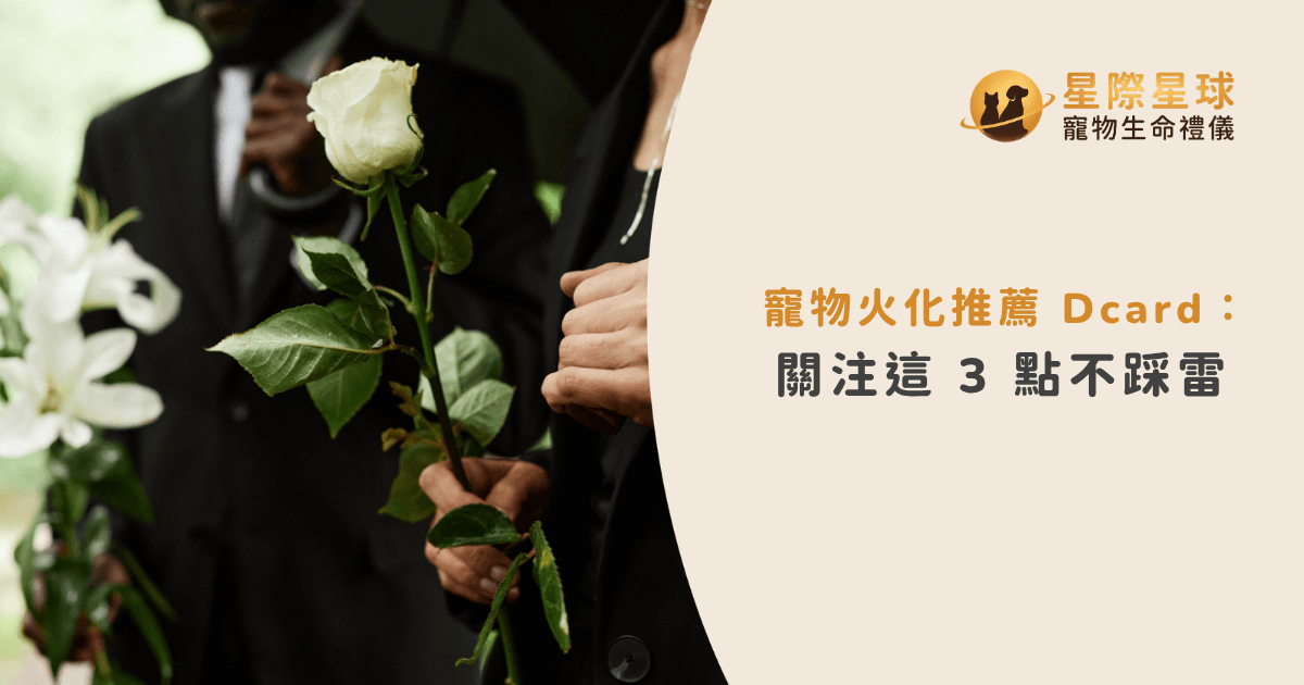 寵物火化推薦 Dcard:關注這 3 點不踩雷
