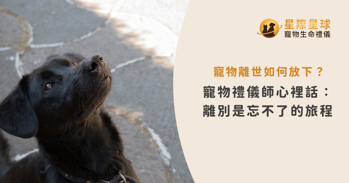 寵物離世如何放下？寵物禮儀師心裡話：離別是忘不了的旅程