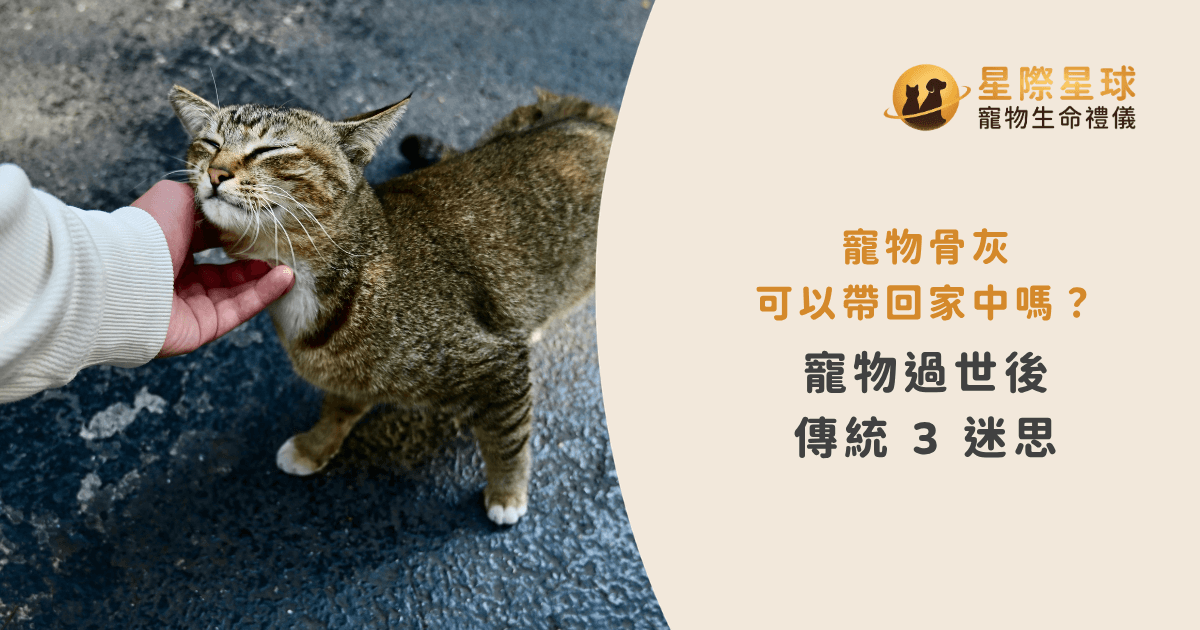 寵物骨灰可以帶回家中嗎？寵物過世後的傳統 3 迷思