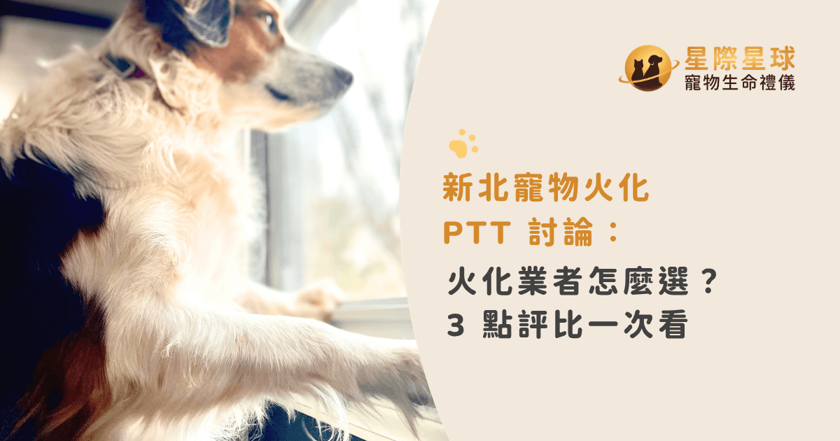 新北寵物火化 PTT 討論：火化業者怎麼選？3 點評比一次看