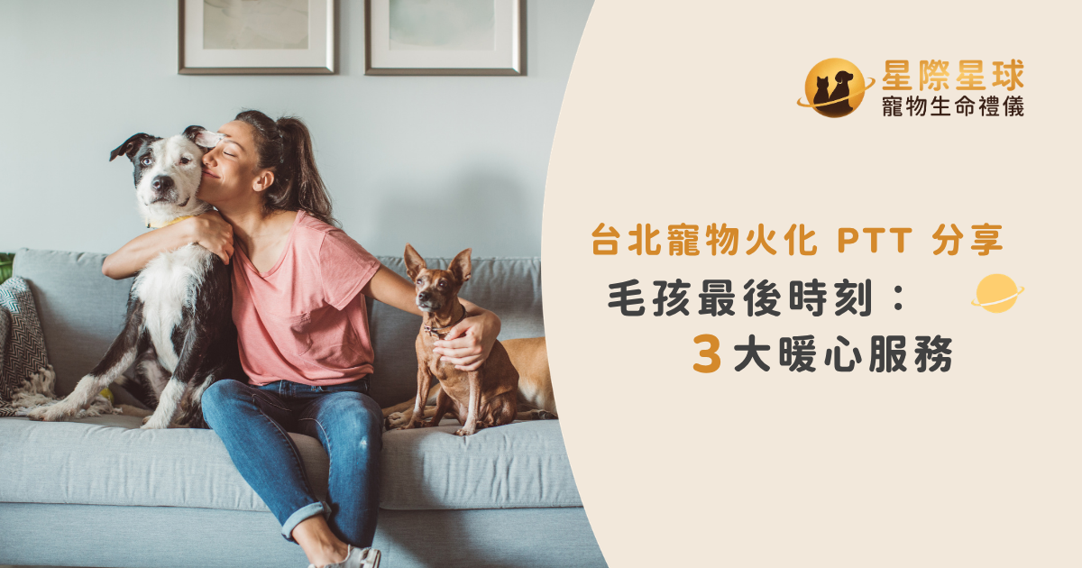 台北寵物火化 PTT 分享｜毛孩最後時刻：3 大暖心服務